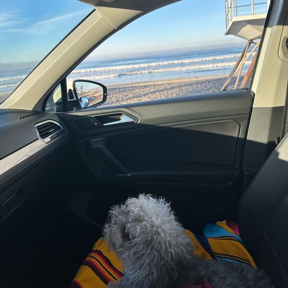 (^_−)−☆ - Picture 9 of 10